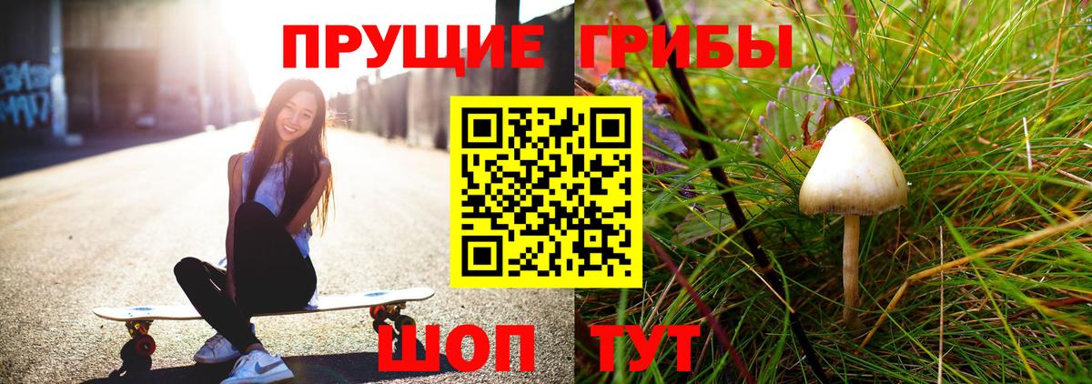 Мелеуз  Галлюциногенные грибы Psilocybe  Вход с VPN 
