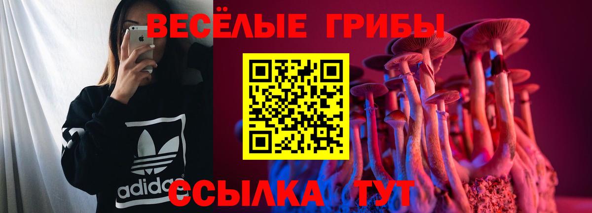Галлюциногенные грибы мухоморы Мелеуз